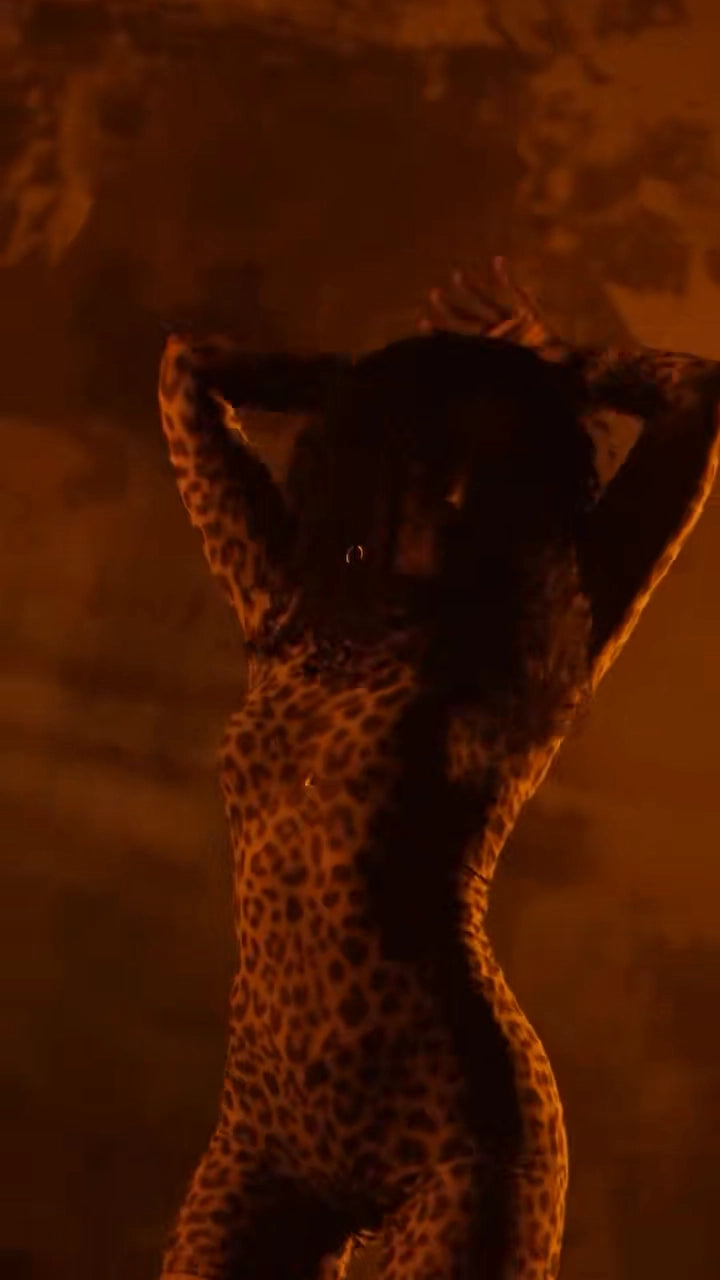 Video preview